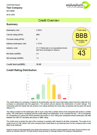 Credit risk report example